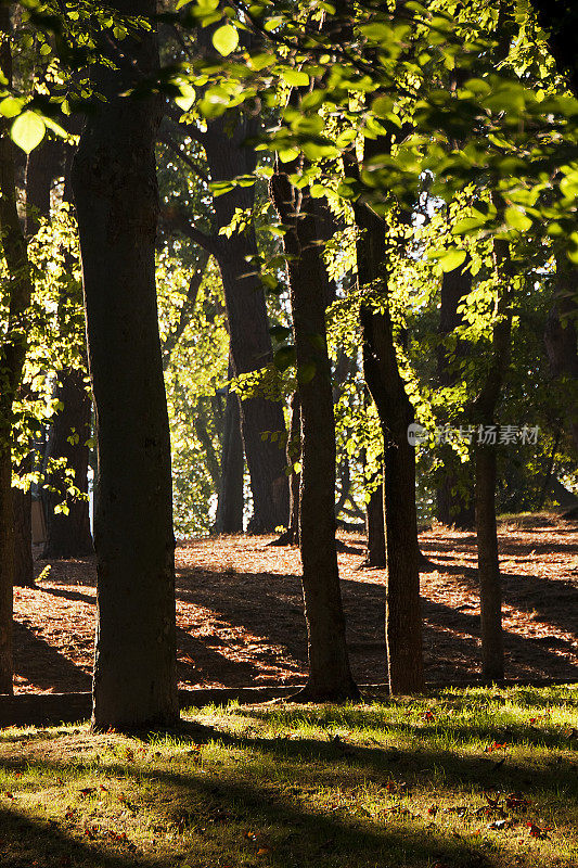 Santa Margarita public park in A Coruña city, Galicia, Spain.